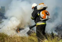 На Тернопільщині за добу рятувальники гасили шість пожеж сухої трави