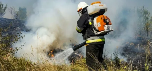 На Тернопільщині за добу рятувальники гасили шість пожеж сухої трави
