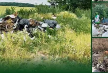 На Тернопільщині виявили забруднення земель спричиниль шкоди на мільйон гривень