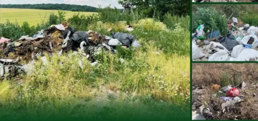На Тернопільщині виявили забруднення земель спричиниль шкоди на мільйон гривень