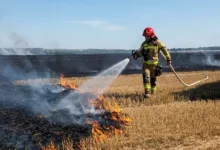 На Тернопільщині за добу сталося 10 пожеж на відкритих територіях