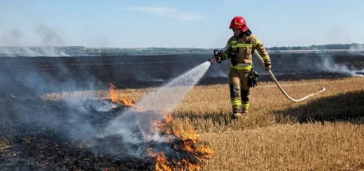 На Тернопільщині за добу сталося 10 пожеж на відкритих територіях
