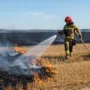 На Тернопільщині за добу сталося 10 пожеж на відкритих територіях