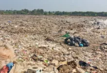 пожежа на Малашівецькому полігоні
