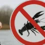 діятиме тимчасова заборона на вилов раків