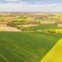 На Тернопільщині громаді повернули землю, що незаконно перебувала у приватній власності