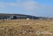 На Тернопільщині судитимуть сільського голову за незаконну вирубку дерев зі збитками понад 8,2 млн грн
