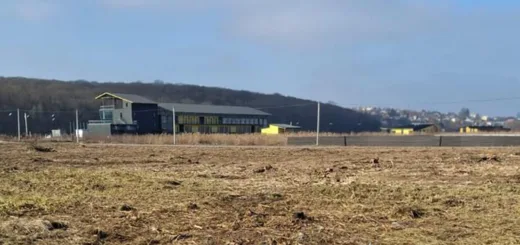 На Тернопільщині судитимуть сільського голову за незаконну вирубку дерев зі збитками понад 8,2 млн грн