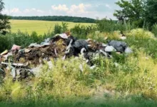 На Тернопільщині виявили 14 неліквідованих сміттєзвалищ: збитки довкіллю перевищили мільйон гривень