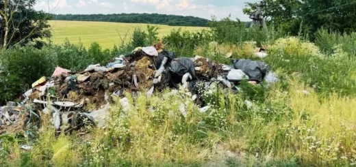 На Тернопільщині виявили 14 неліквідованих сміттєзвалищ: збитки довкіллю перевищили мільйон гривень