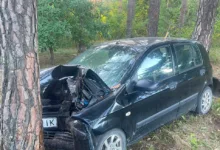 Не впорався з керуванням і врізався в дерево: на Тернопільщині травмувався водій