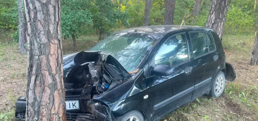 Не впорався з керуванням і врізався в дерево: на Тернопільщині травмувався водій