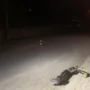 Авточернетка