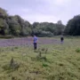 На Кременеччині повністю висох ставок