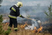 На території Лановецької громади горів торф