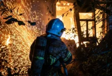 Із пожежі врятували тварин: на Тернопільщині згоріла будівля і побутова техніка