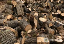 На Тернопільщині чоловік заплатив 9100 гривень за дрова, але так і не отримав їх