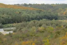 На Тернопільщині прокуратура через суд вимагає повернути державі 2,5 га землі Дністровського каньйону