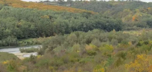 На Тернопільщині прокуратура через суд вимагає повернути державі 2,5 га землі Дністровського каньйону