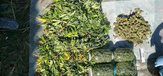 На Тернопільщині трьом людям повідомили про підозру у збуті наркотиків