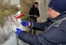 На Тернопільщині підприємство має сплатити понад 1,2 млн грн за забруднення річки Збруч