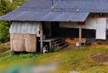 На Тернопільщині 43-річному чоловікові повідомили про підозру у вбивстві знайомого