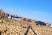 підроблення підписів у договорах оренди землі