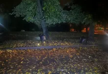 У Тернополі затримали чоловіка, який стріляв у підлітка