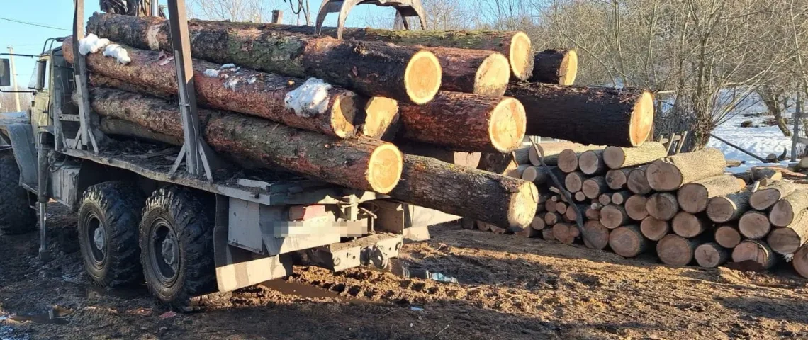 Авточернетка