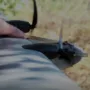 ударні дрони «Дартс» 44 бри