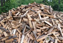 На Тернопільщині жінка втратила 15 тисяч гривень, намагаючись купити дрова
