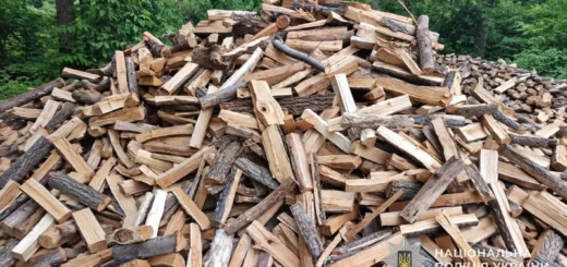 На Тернопільщині жінка втратила 15 тисяч гривень, намагаючись купити дрова