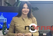 Справа Людмили Марченко: Колеснік визнала провину, нардепка заявила про переслідування