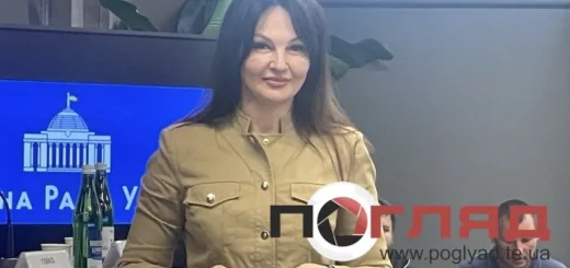 Справа Людмили Марченко: Колеснік визнала провину, нардепка заявила про переслідування