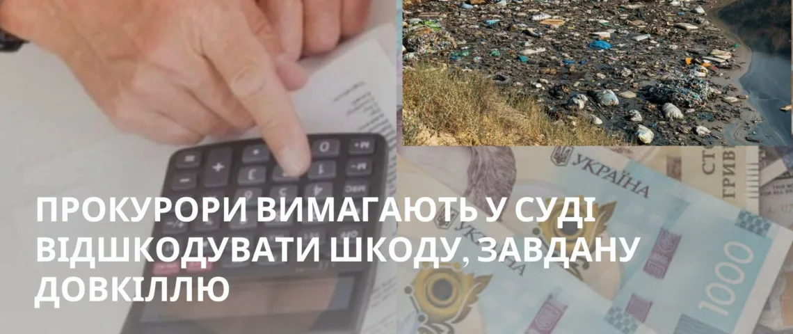 На Тернопільщині від селищної ради вимагають понад 150 тисяч гривень за незаконні сміттєзвалища