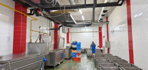 На Тернопільщині продадуть або здадуть в оренду м’ясокомбінат із забійним цехом